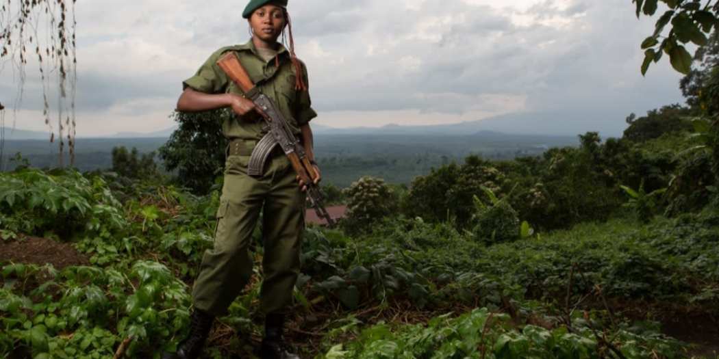 Environnement : les Rangers du Parc National de Virunga, prêts à tout pour la protection de la biodiversité